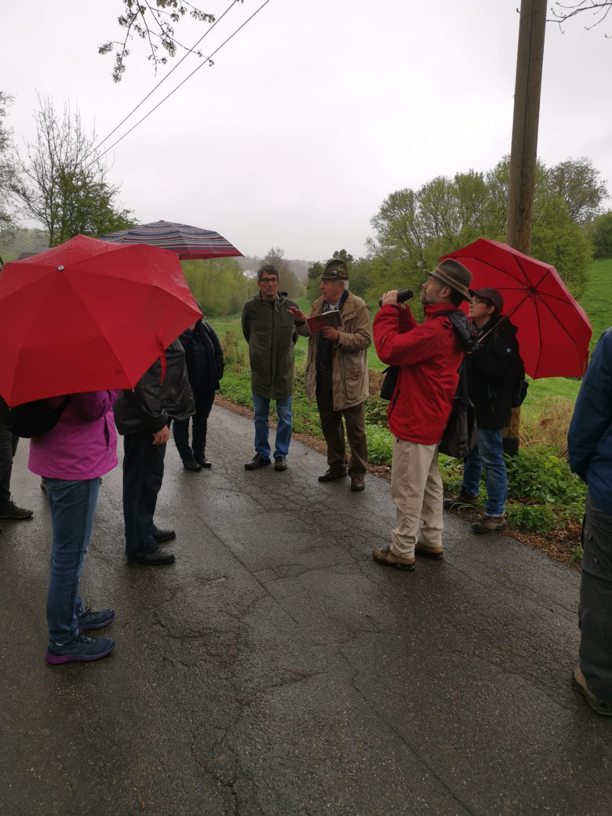 WhatsApp Image 2022-04-29 at 11.56.59.jpeg